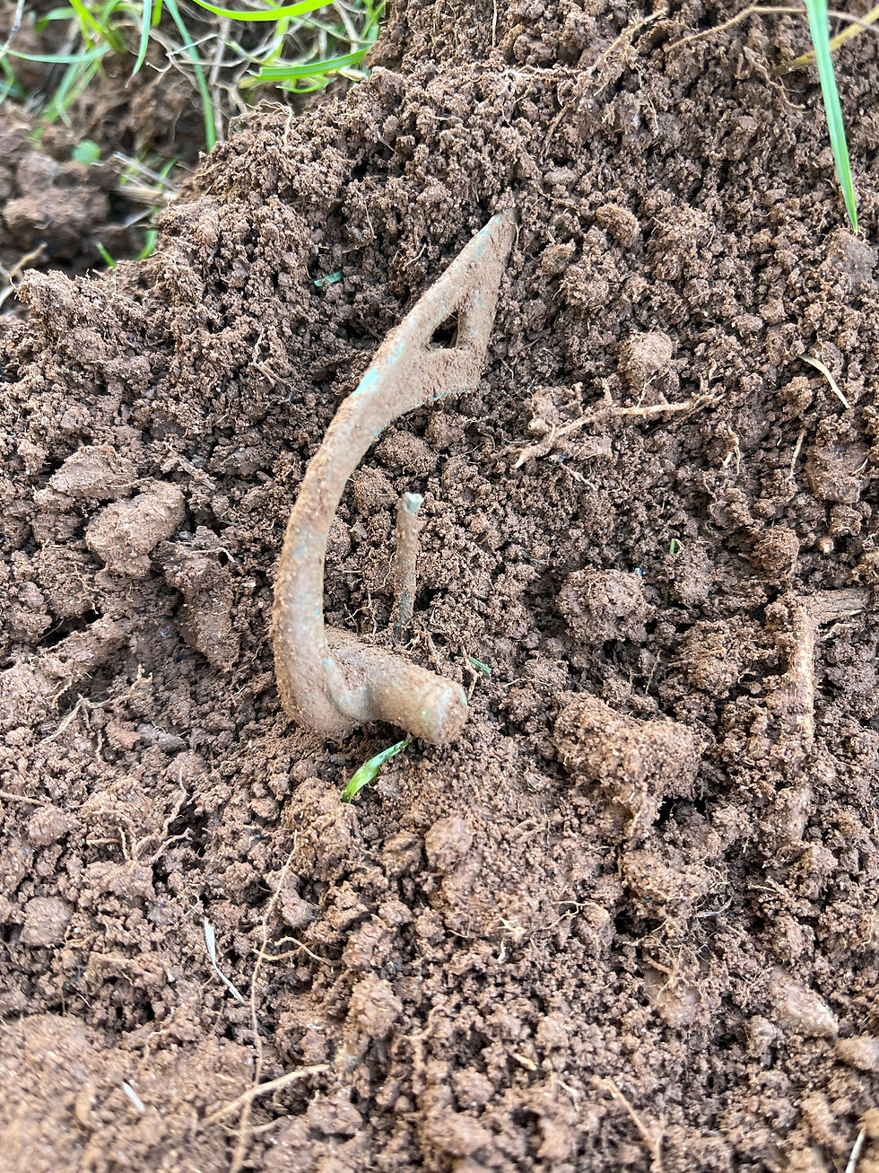 1st century CE, Riha type 4.2 ridged-bow fibula with cylindrical spring cover
