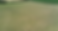 GVMD - Club Dig Website Vid.png