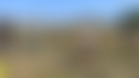 When did metal detecting become popular in the UK?