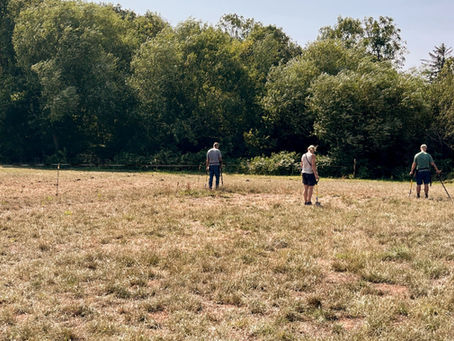 detectorists in a field