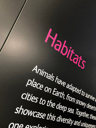 Print to steel wall panels