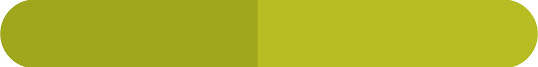 Asset 7_4x-100.jpg