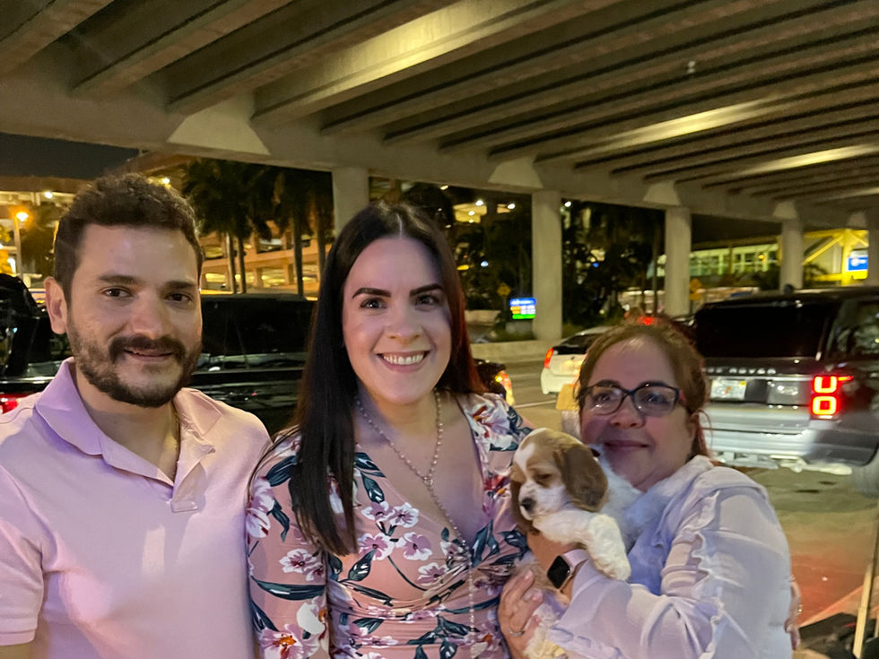 Cocker Spaniel Family in Miami.JPG