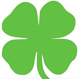 Screen Shot 2024-01-10 at 9.52.07 AM.jpg