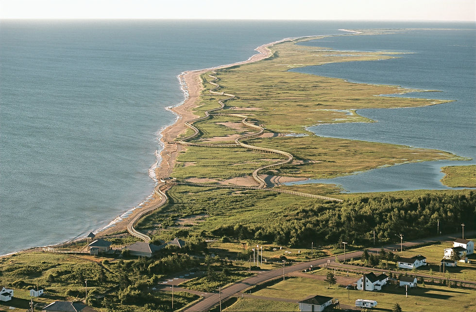 Canaan Bog to Bouctouche