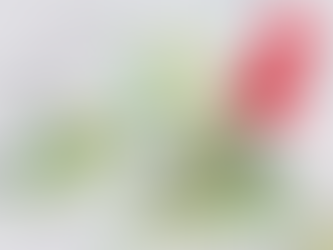 Understanding the UK's New Electronic Travel Authorization Process