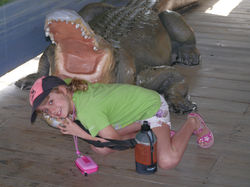 Gator!