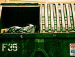 Garbage Dumpster