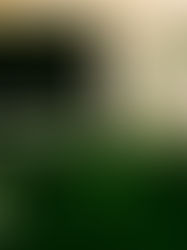 “Pernambuco pode atrair investimentos de até R$ 6,6 bilhões para gerar energia a partir do lixo”, destaca presidente da ABREN