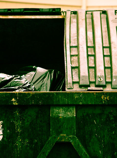 Garbage Dumpster