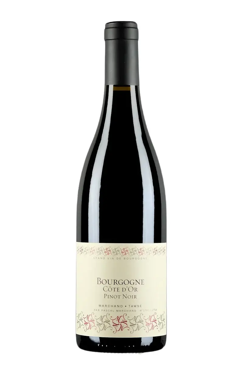 Thumbnail: MARCHAND TAWSE 47N Pinot Noir 2020