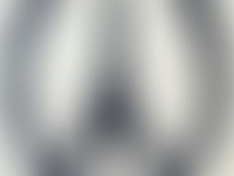 A General Recap on the Paris Terrorist Attacks