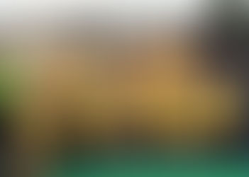 Provincial Champions