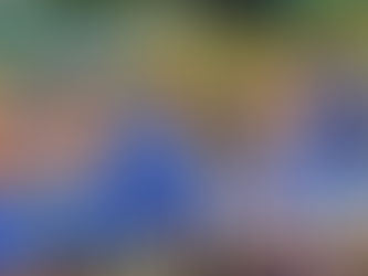 Cavs Take Home Gold at AA Tennis Provincial Championship!