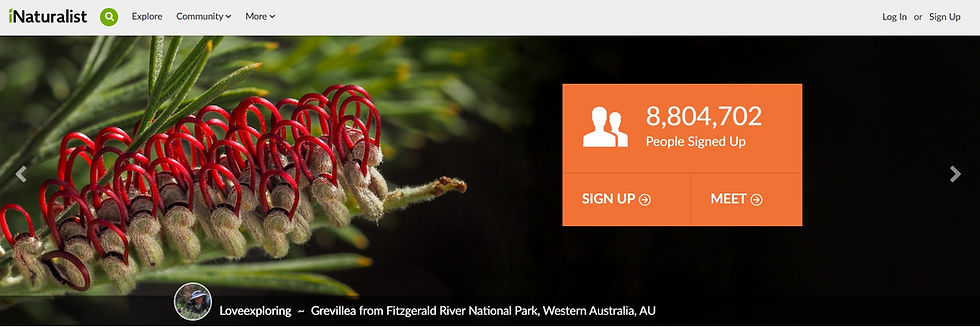 iNaturalist Website Homepage