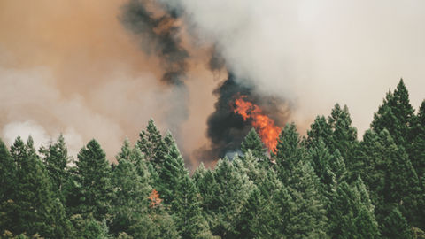 Wildfires early warning
