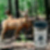 coffe elk.JPG