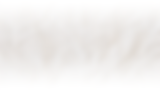 Green Photographic Environment Charity Bio-Link Website (20).png