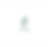 Green Photographic Environment Charity Bio-Link Website (11).png