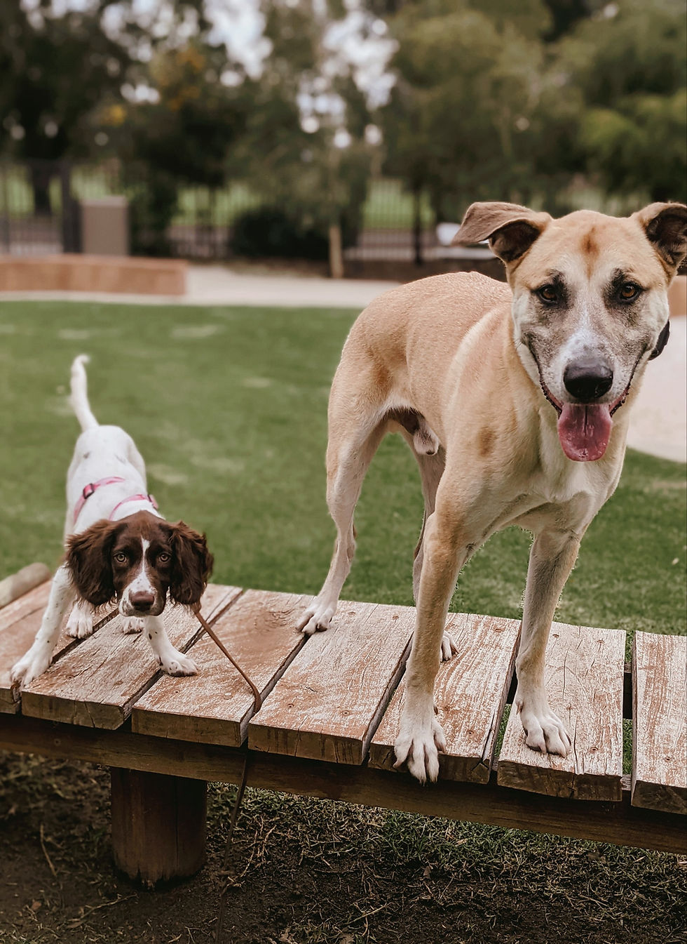 161176252_759883214499969_52834528720346