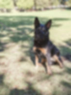 149845593_743711466117144_16506372509275