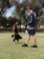 121109167_668432150311743_43008073563154