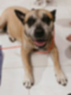 154119244_749832858838338_90906059489501