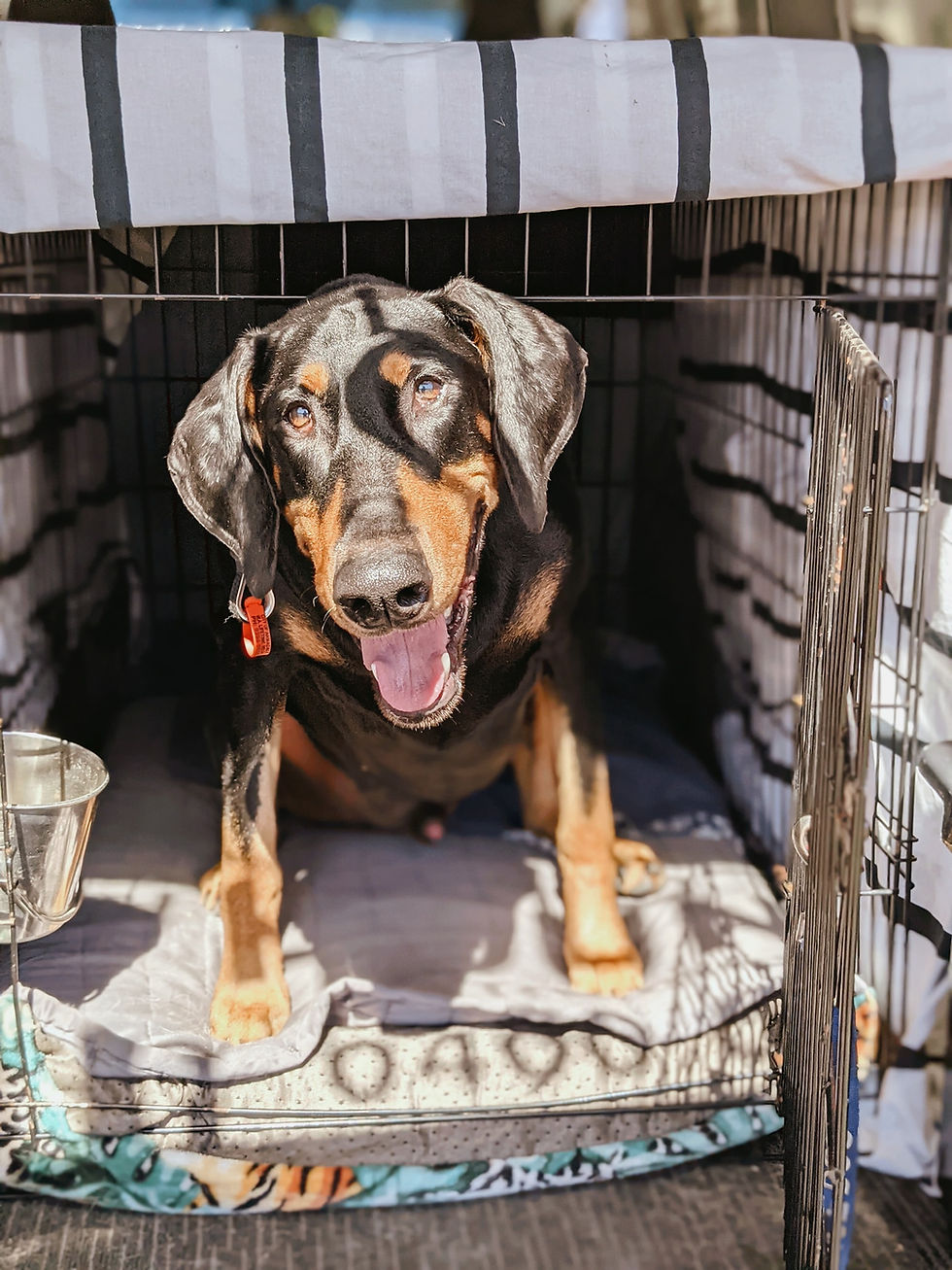 153202851_749623412192616_10382293130096