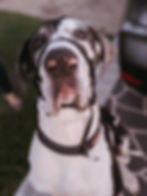 138834314_728679730953651_65193959112543