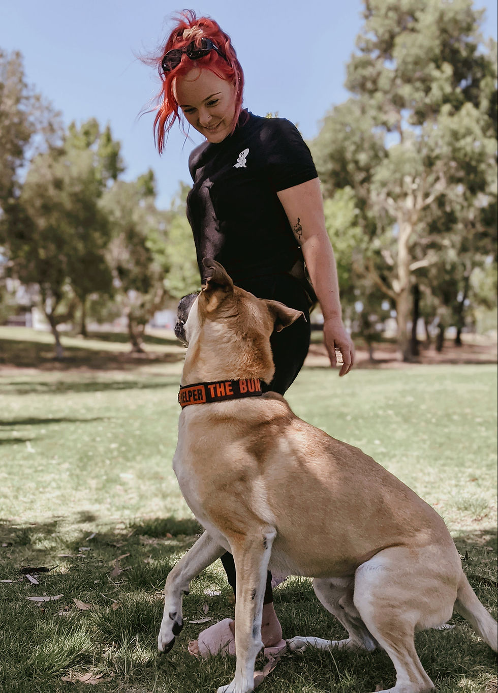 143149466_734813547006936_83322320968837