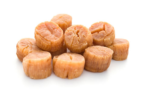 dried scallop on a white background.jpg