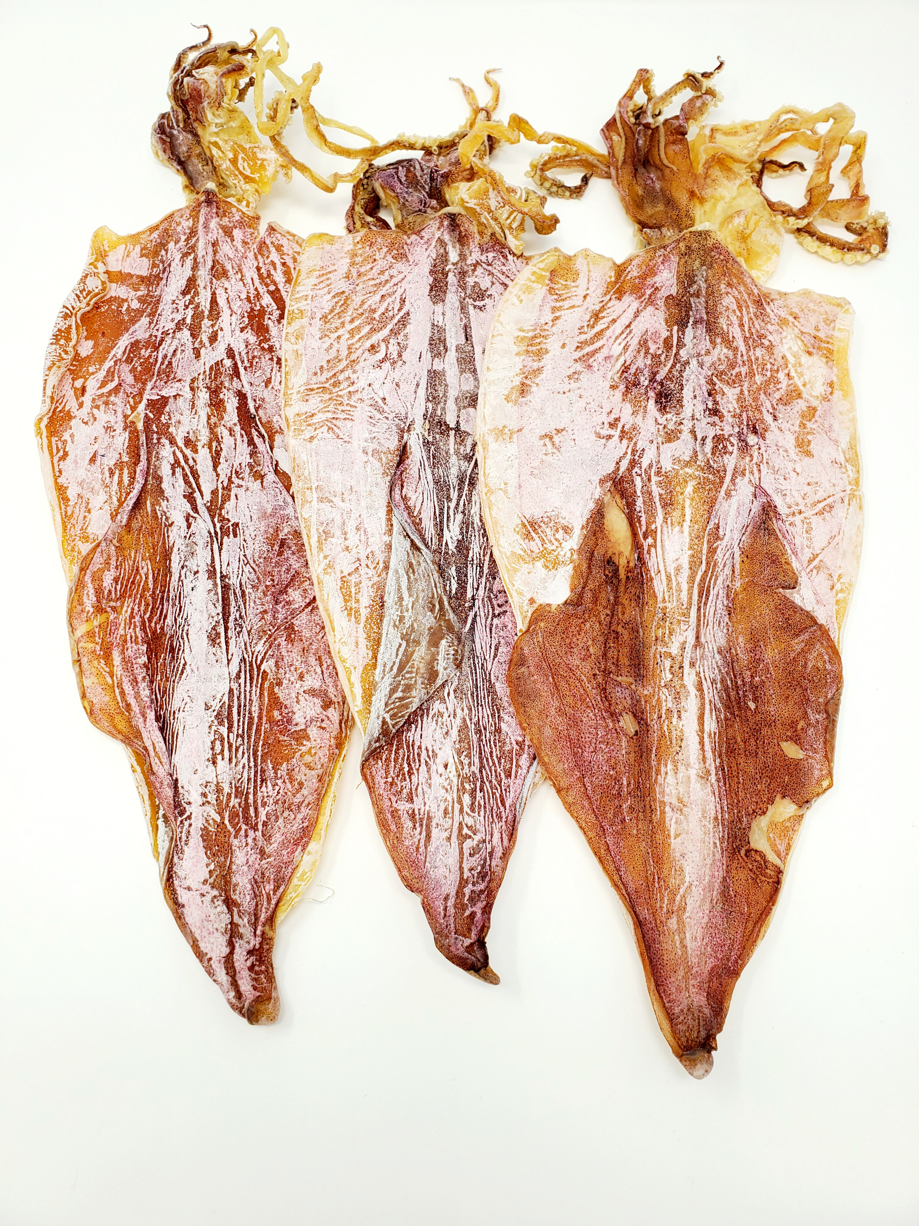 Dried Monterey Humboldt Squid - X-LARGE - 15oz (Save 10%)