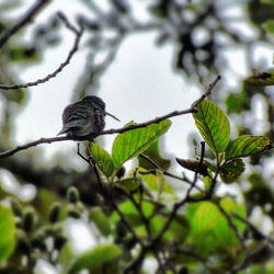 #nature #naturephotography #naturaleza #