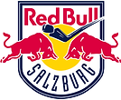 5734_ec_red_bull_salzburg-primary-2014 (1).png