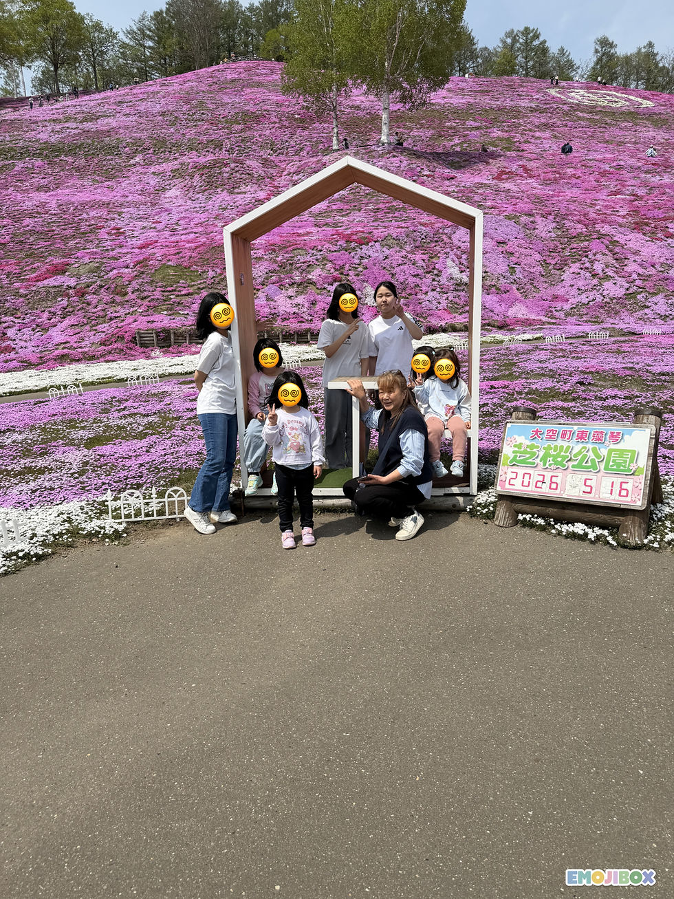 網走東藻琴の芝桜を見にいきました。