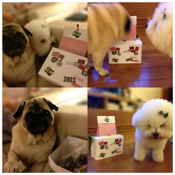 PetLife Brinde de Natal