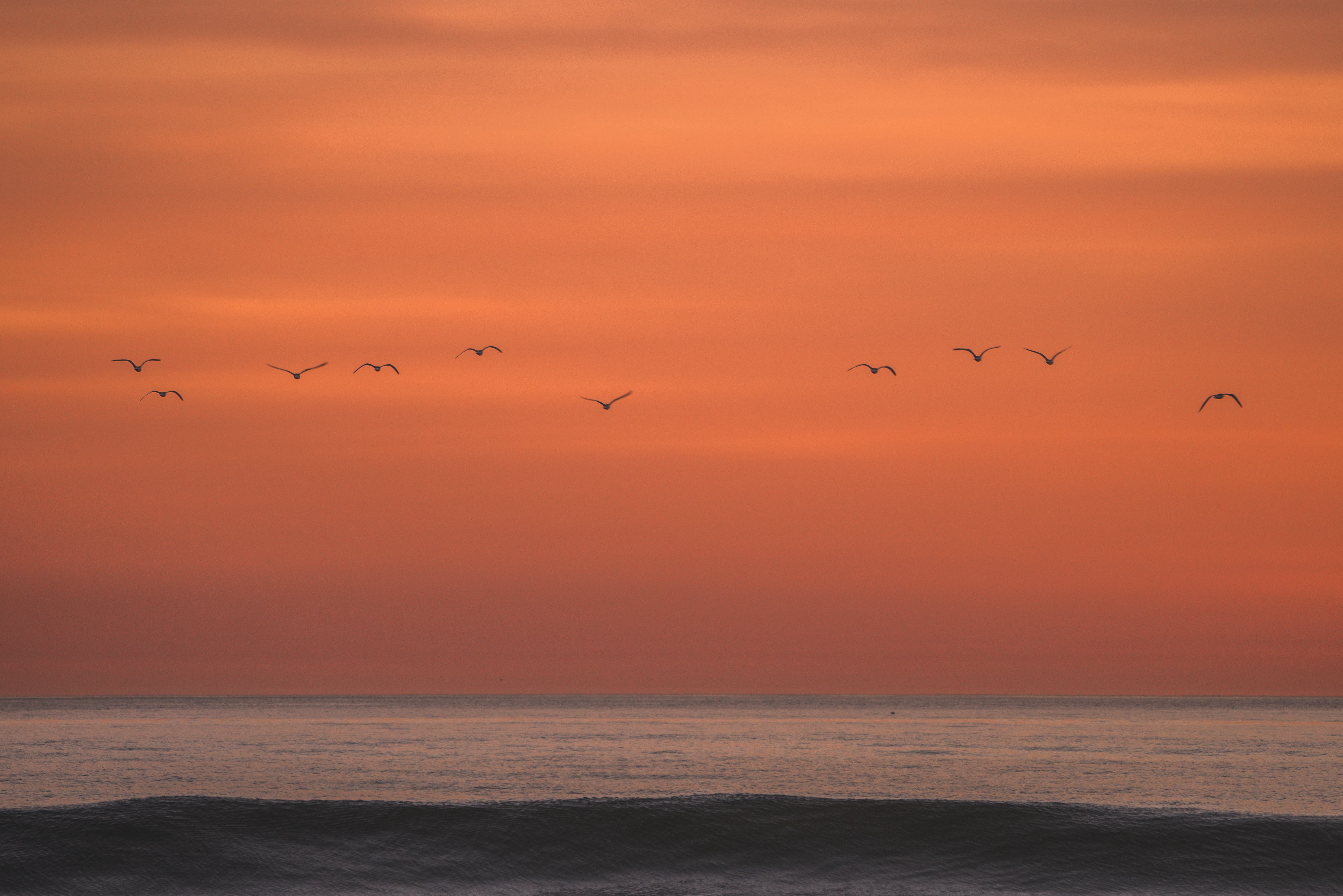 Golden Hour - Limited Edition