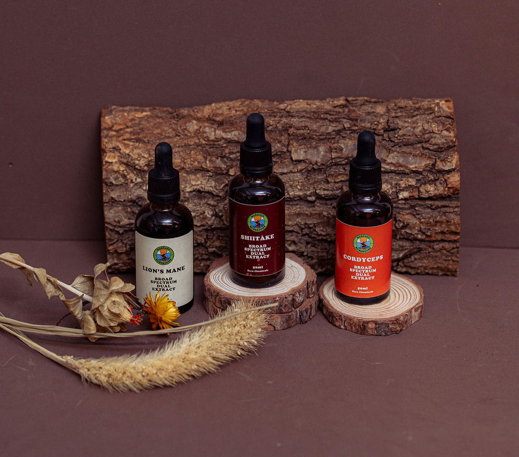 Ultimate Bundle: Cordyceps, Lion's Main and Shiitake Extract