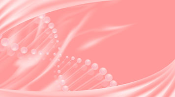 iStock-2167261317 (1).jpg