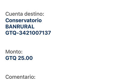 Ejemplo Boleta.jpg