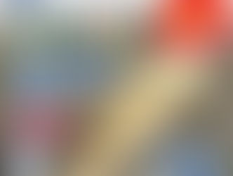仁淀川 ニゴイ釣り大会 開催決定!