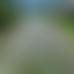 監視員より河川状況 8/15