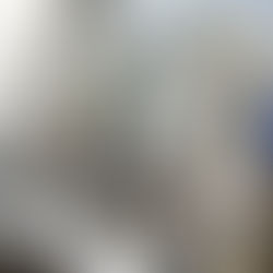 釣果報告(鮎)🎣