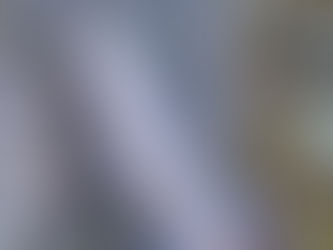 釣果報告(キャッチ＆リリース）🎣