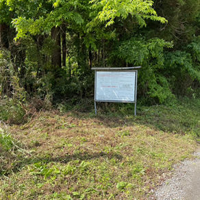 伊野地区 標柱周り草刈り