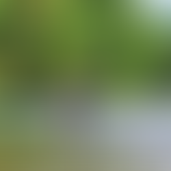 監視員より釣果報告（鮎）8/28