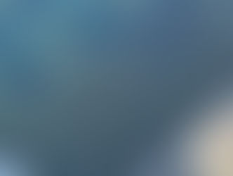 鮎 遡上調査　3/8