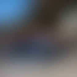 釣果報告(あまご）🎣