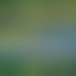 監視員より釣果報告 9/27