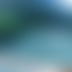 2026/06/03